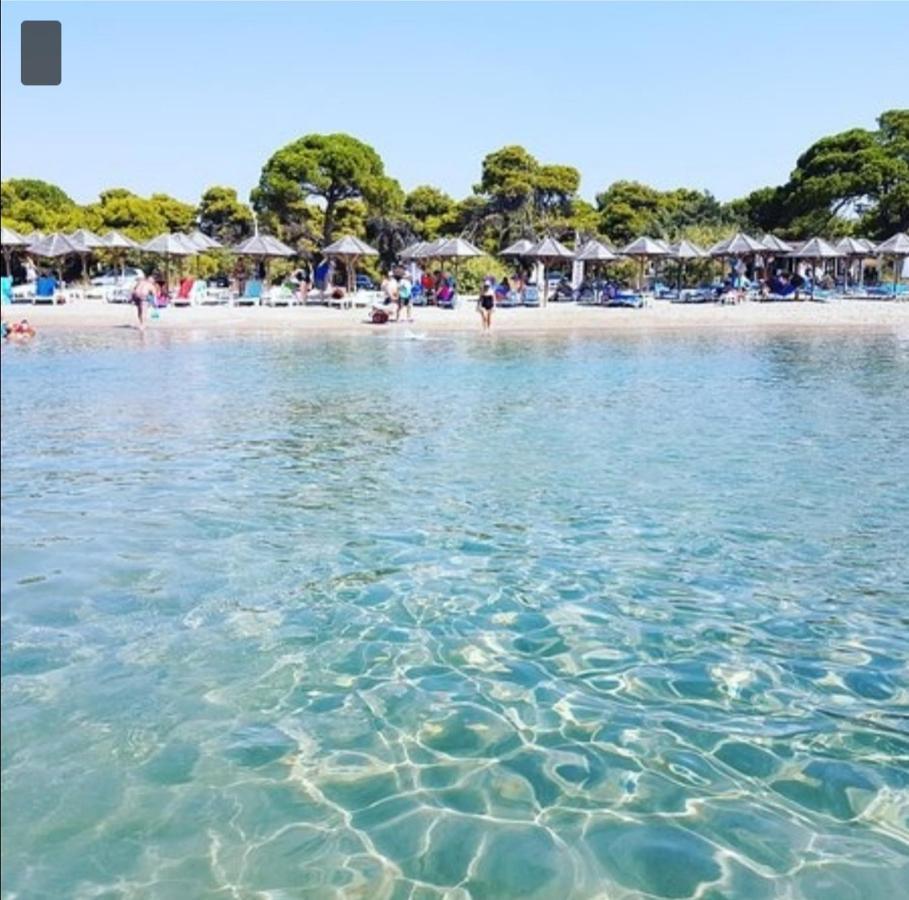 Appartement Athens Artemis Pool Sea Airport *