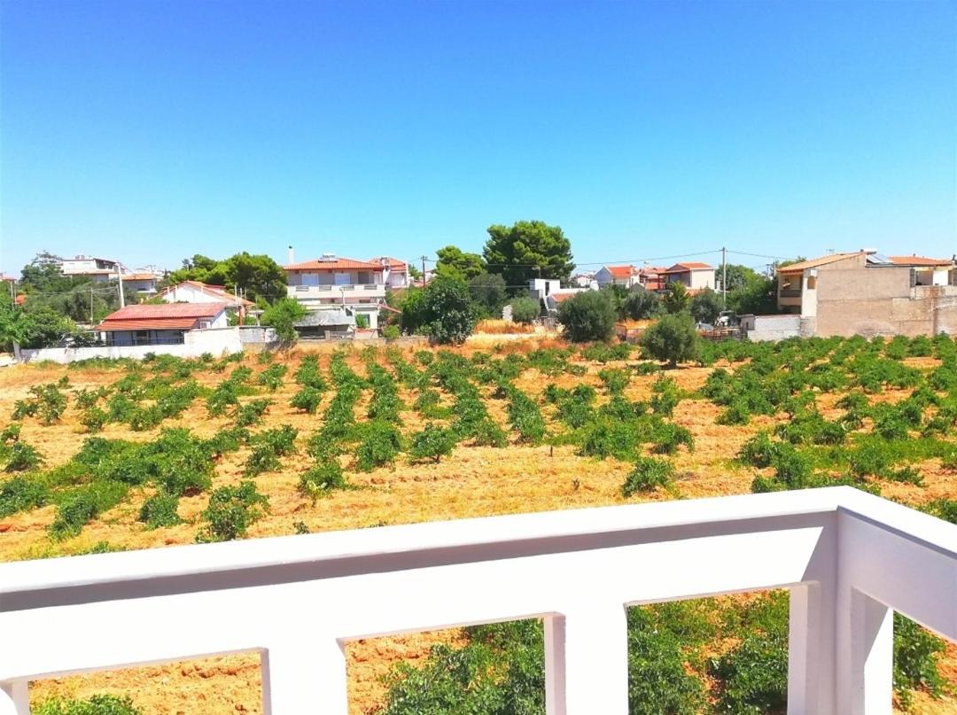 Athens Artemis Pool Sea Airport Appartement Artemi